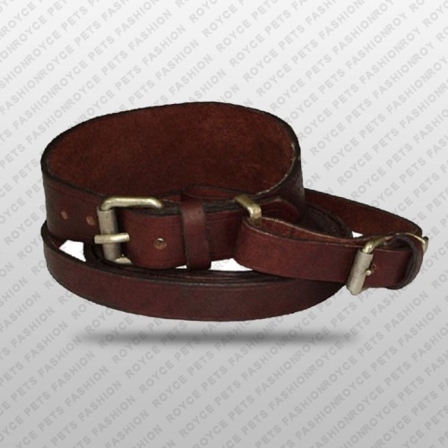 Dog Collar